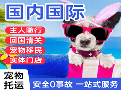 北京航空货运国际宠物托运 【国